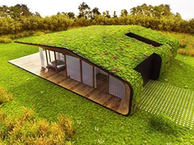 屋頂綠化