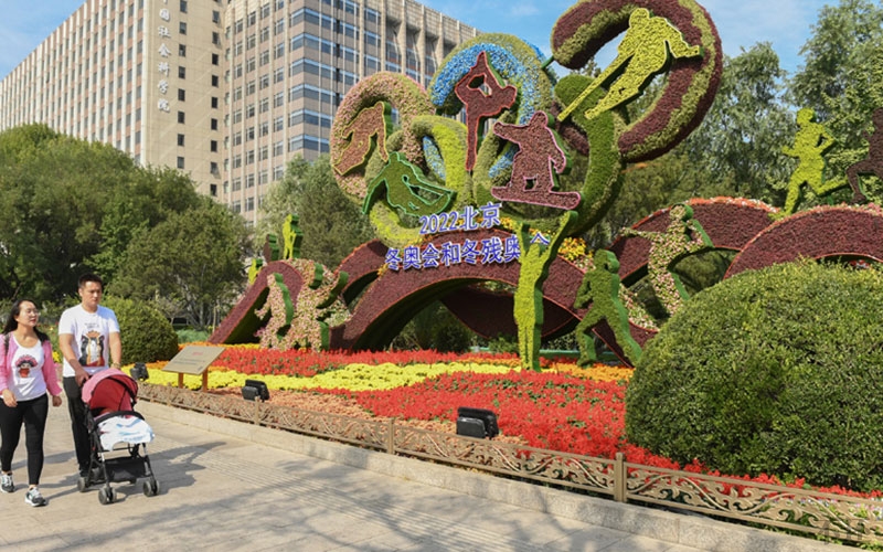 北京慶典五色草造型